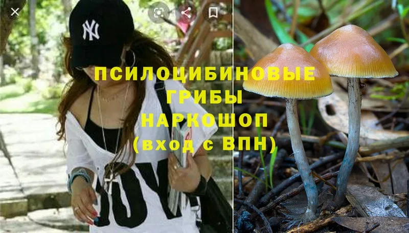 Псилоцибиновые грибы Magic Shrooms  Орск 